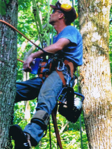 Suffern Tree Service Climber