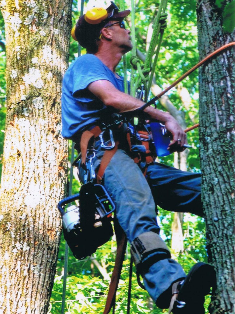 Suffern Tree Service Climber
