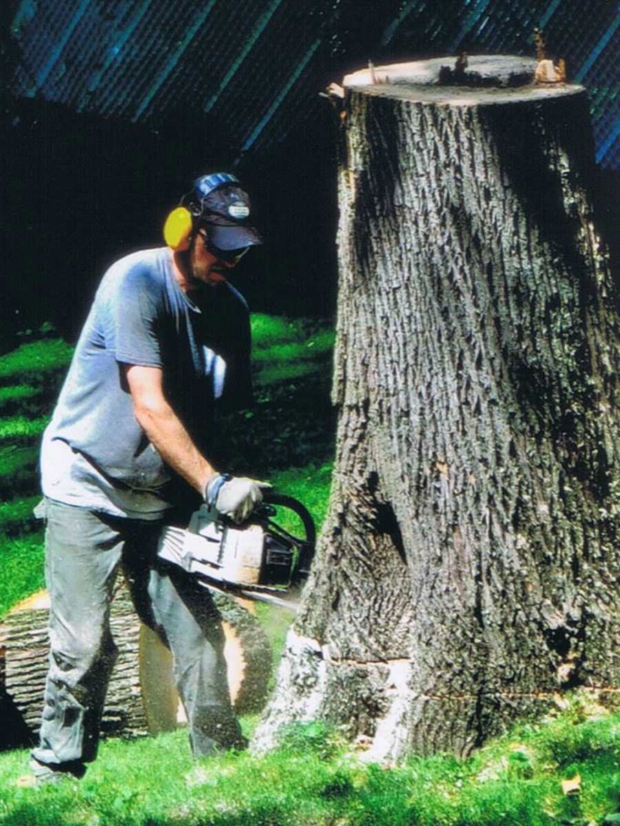 andrew-cutting-stump-web