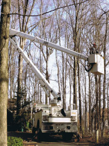 bucket-truck-boom-web Suffern Tree Service proviging Bucket Service