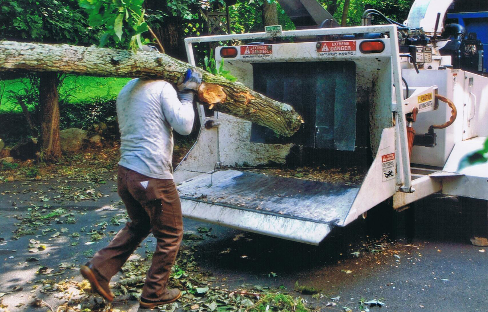 Emergency Tree Service in Rockland County NY