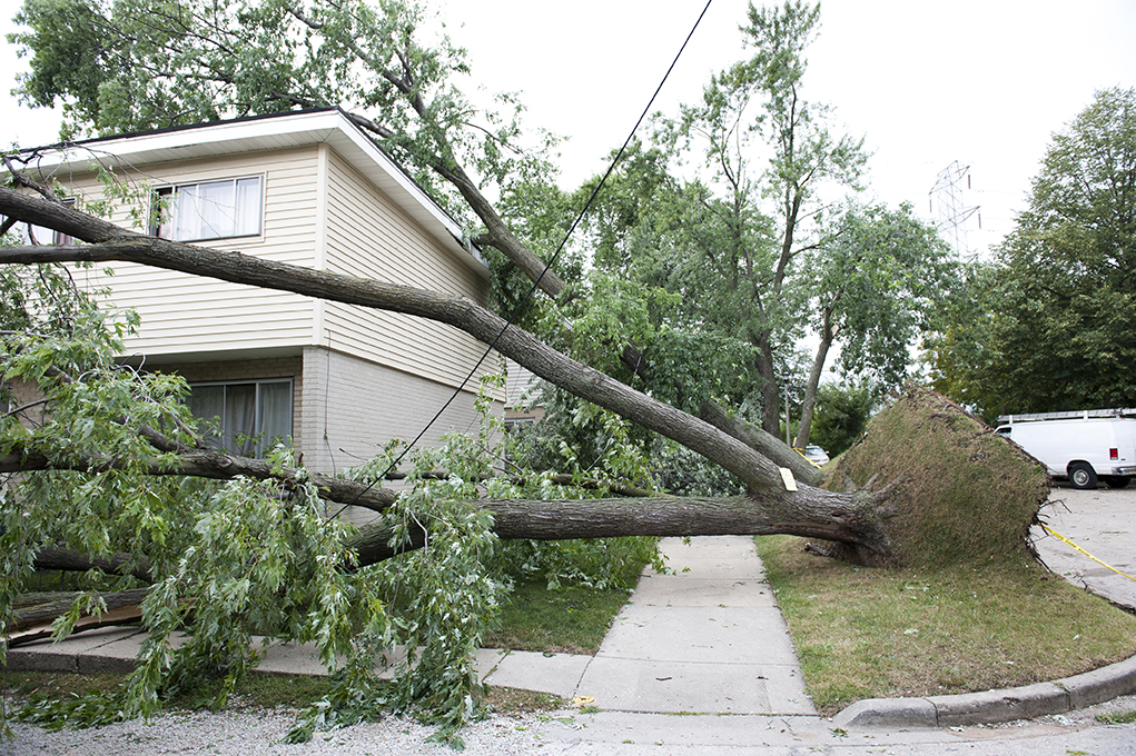 Trees down in Rockland County after wind storm Emergency Strom Damage Tree service Rockland County