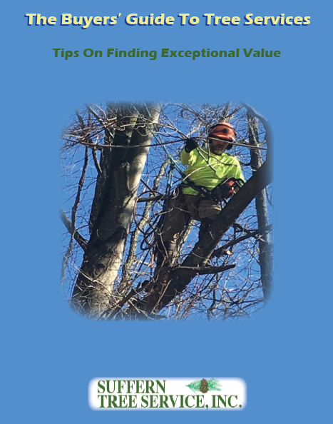 The Buyers’ Guide To Tree Services COVER Cover of The Buyers' Guide To Tree Services