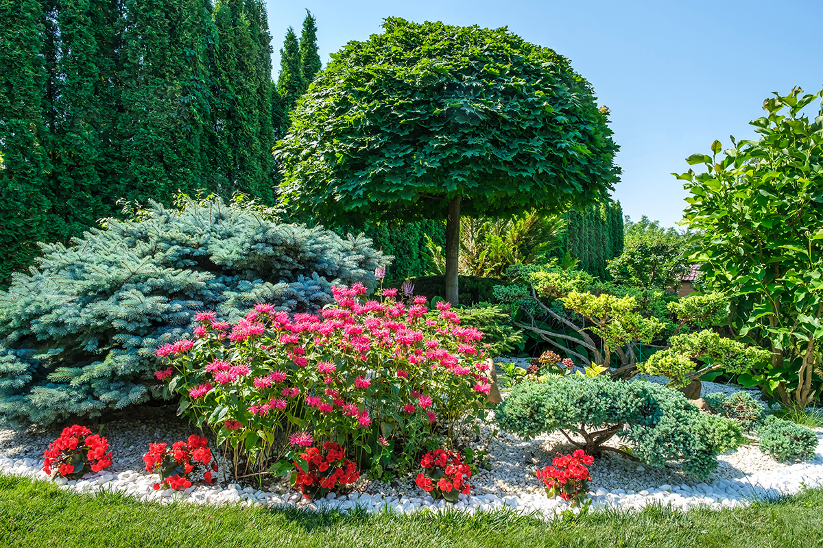Beautiful backyard garden with nicelypruned trimmed trees, bushes in Rockland County Tree pruning and trimmin enhance Rockland County landscape desing and property vlaues
