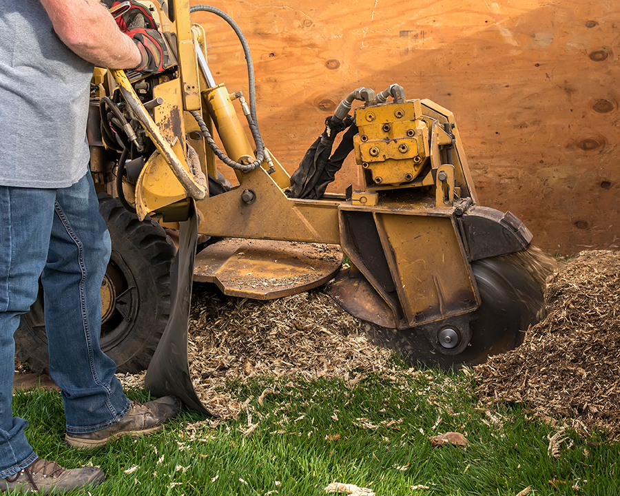 Stump grinding and remvoal in Rockland County