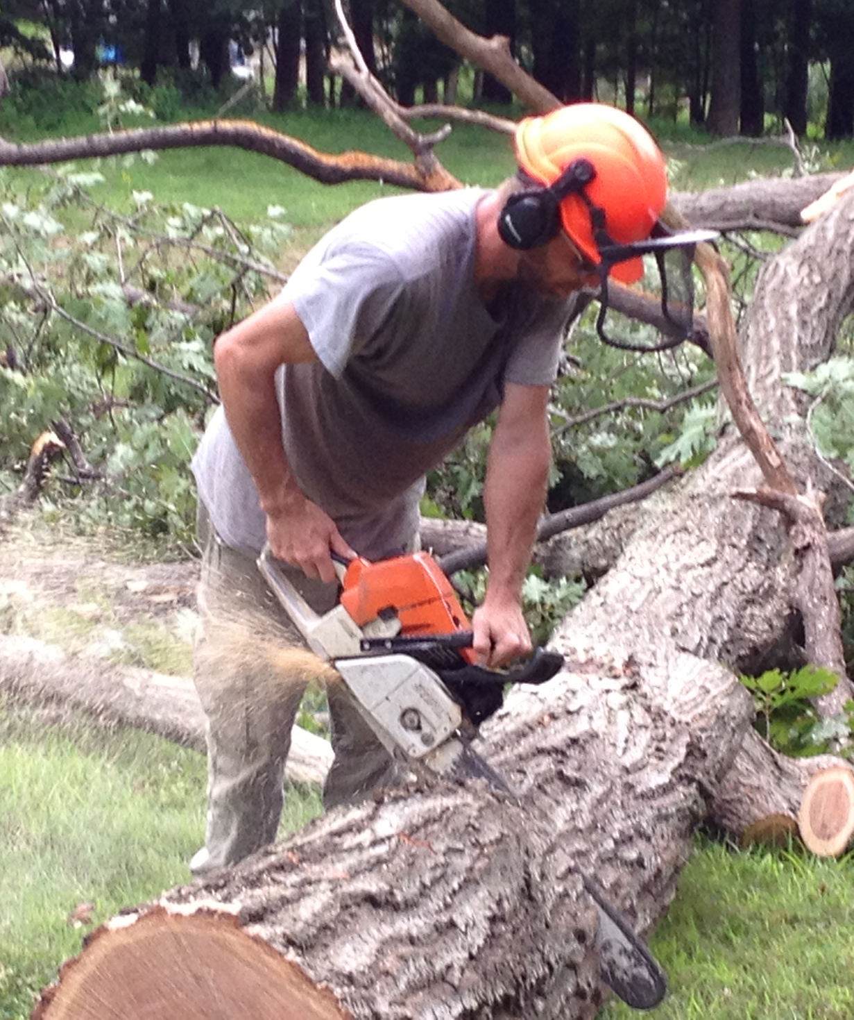 Andrew Owen, President of Suffern Tree providing tree service to a Rockland County customer
